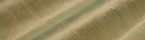 Wheat Silk Dupioni  (1214C-5118)