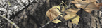 Mossy Oak New Break Up Indoor (MO-BREAKUP)